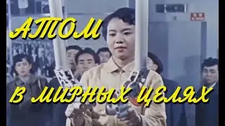 Атом в мирных целях (1956)