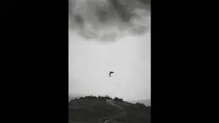 Kobra Project - Confusing Wake Up