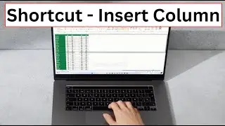 Shortcut Key to Insert a Column in Excel (Excel Shortcuts)