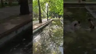 25 чашек...