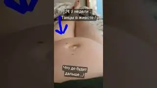 23 декабря 2023 г.