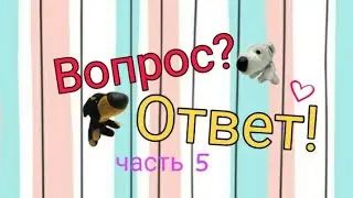 Долгожданный вопрос-ответ (часть 5)