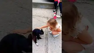 Говорящий котенок #нетрогай #прикол #юмор #котик