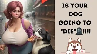Is Your Dog Going to Die !!! Check the Lifeline of Dog with US