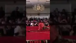 RSP Slams Gregory Iron on to a CHAIR #rsp #gregoryiron #alpha1 #wrestling #rickeyshanepage
