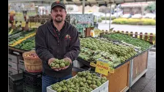 All Edible, True Heirloom Baby Artichokes Locally Grown in Castroville