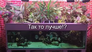 борьба с бурьяном!
