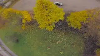 Best of Autumn FPV edition -2020-