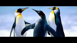Стрельба по-македонски