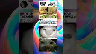 mem 