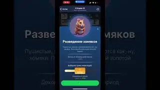 Новые КОМБО КАРТЫ в Musk Empire 27 - 28 августа