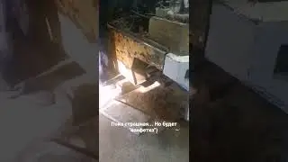 Ремонт 