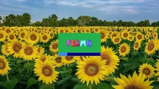 ЗЕМЕЛЬНЫЙ БИЗНЕС [Программа Ferma] (Выпуск — 22)