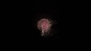 Disneyland New Year Firework Show (Epic Fireworks to start 2022)