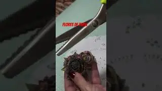 Lindas flores de papel para decorar seus artesanatos, festas e muito mais.