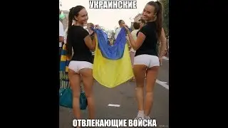 Лучшие приколы,Приколы с животными.Новые приколы.№