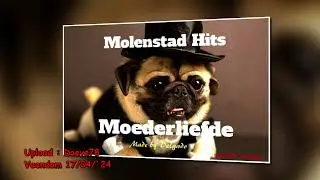 Molenstad Hits  (2002)   -   Een bosje rode rozen