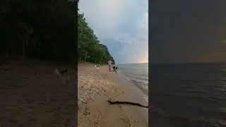 A Husky, Long Haired Shepherd, and Belgian Malinois go for a sunset beach run!