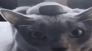 you WILL click on this video AND sing along