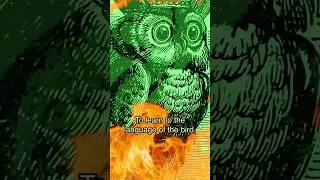 The Birds Aren’t Real movement are falsely claiming that Duo the owl is a secret gov’t surveillance.