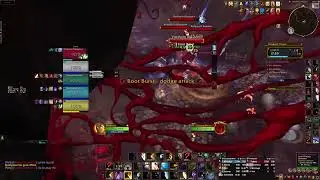 Disc Priest Darkheart Thicket +23 Fortified Bolstering Entangling