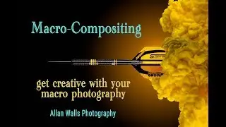 Macro Compositing - getting creative with macro photography