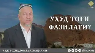 Уҳуд тоғи фазилати 
