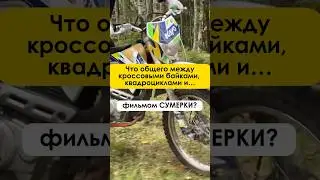 Впечатления для всех уникальны, а запоминаются на всю жизнь 🎁 #wowlife #впечатления #квадроцикл