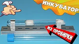 How to make an ant incubator with your own hands and how to relocate ants