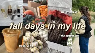 FALL VLOG 🍁🎃 fall shopping, clothing haul, pumpkins, fall bucket list, trader joes, & more! 2024