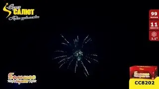 сс8202-Большая сцена