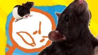 *НАПАДЕНИЕ ГИГАНТСКИХ КРЫС НА ГОРОД* epic draw stickman 2