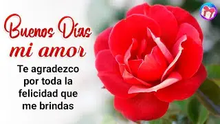 💌 ¡HERMOSO Video Mensaje de Buenos Dias para ti MI AMOR! 💝 TE AMO más que nunca AMOR MIO