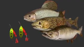 Grayling & Pink salmon | Tunguska River SPOT |  Russian Fishing 4 RF4 | spin