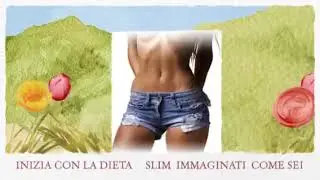THE SLIM DIET