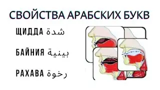 Сыфаты: Щидда , Байния и Рахава