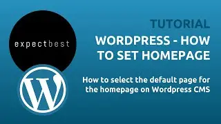 How to Set Homepage on WordPress