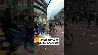 Olanda, traffico di bici per andare a lavorare alla mattina 🚴‍♂️😍