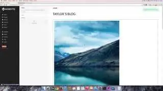 How to add custom scripts and code to your website