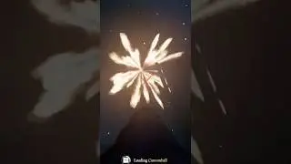 THE ONE BALL KING 