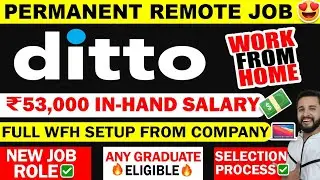 🔴PERMANENT WORK FROM HOME JOB | DITTO HIRING FRESHERS🔥| NO SALES | 8,00,000 SALARY PACKAGE🔥