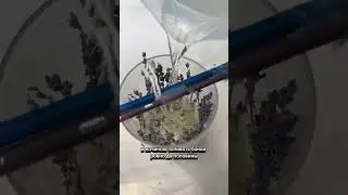 Свечи Часть 2 