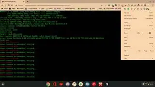 PROPER DISCORD ON CHROME OS