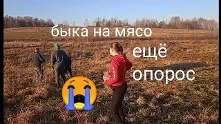 Мая больше нет😭 стройка продолжается. Дела на огороде
