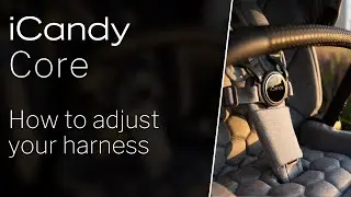 iCandy Core Pushchair - How to Adjust Your Harness