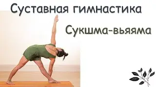 Суставная гимнастика | Сукшма вьяяма | разминка от йогов