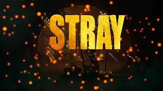 Stray?!
