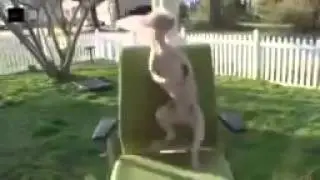 Впереди  длииииинные выходные