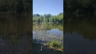 The sound of nature