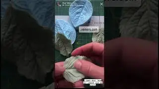 Shaping your Leaf: making cold porcelain or edible flowers, DIY cake decor